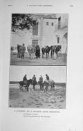 Original Old Antique Print 1914 Spanish Game Reserve Horses Baily'S Photograph