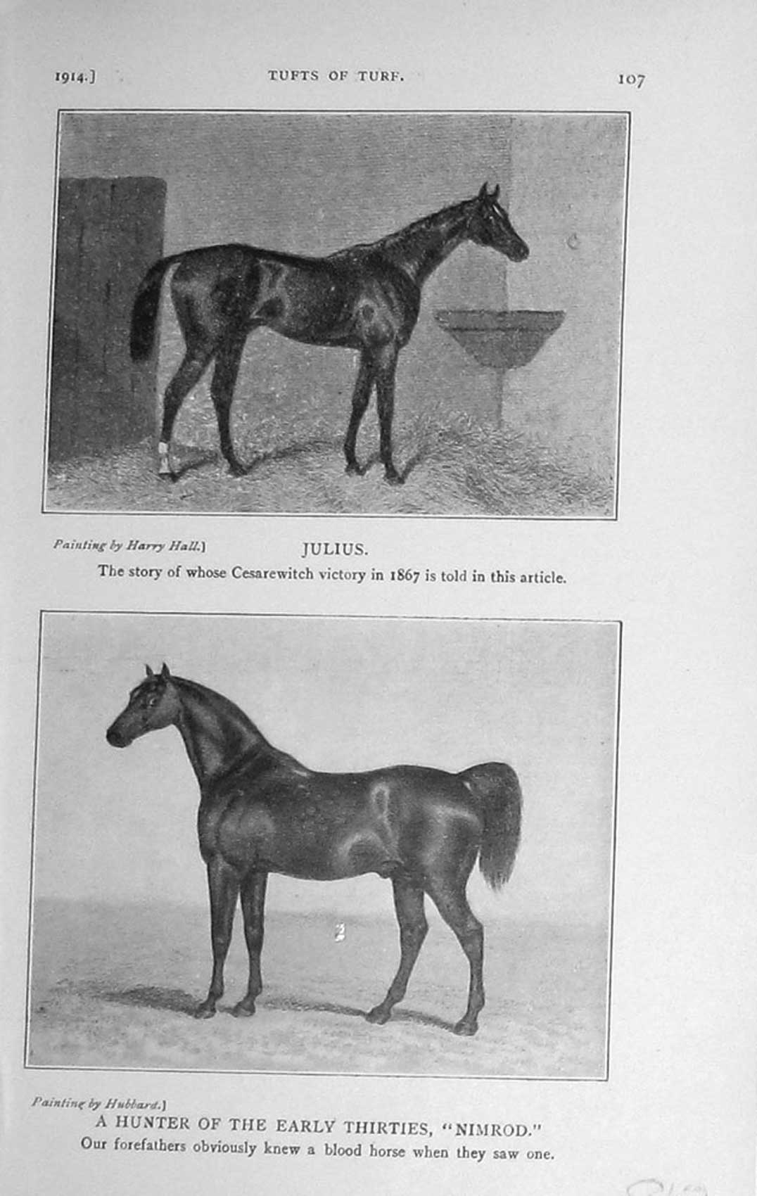 Original Old Antique Print 1914 Julius Horse Cesarewitch Hunter Nimrod Sport