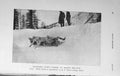 Old Antique Print 1914 Photograph Ski-Ing Sport Bob Run Switzerland Snow 20th