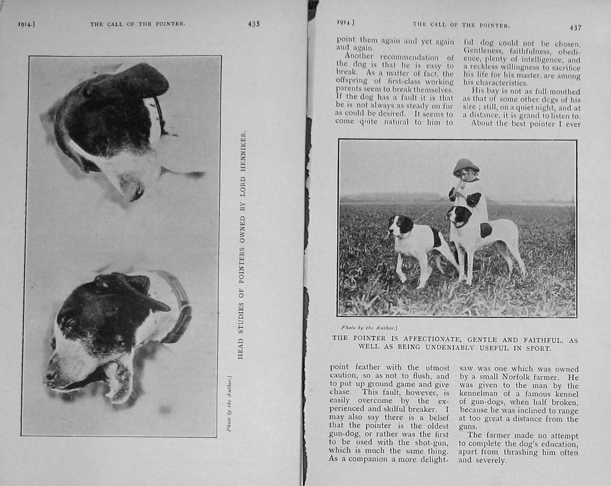 Old Antique Print 1914 Pointer Dog Hunting Lord Henniker Sport Photograph 20th