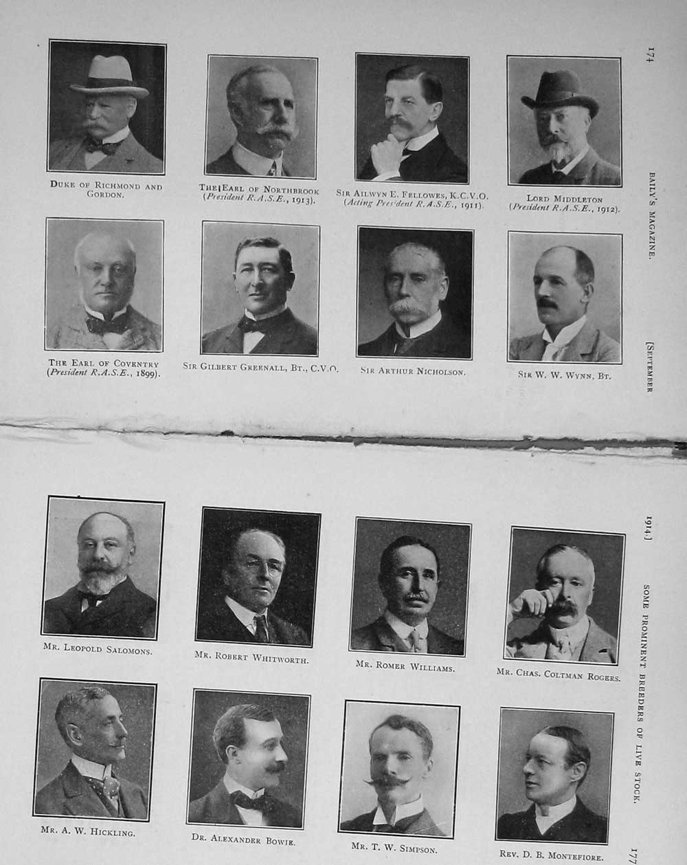 Original Old Antique Print 1914 Earl Powis Breeders Northbrook Coventry Rogers