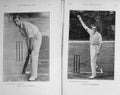 Original Old Antique Print 1914 Portrait Cricket Douglas Bosanquet Sport 20th