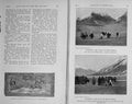 Old Antique Print 1914 Ibex Hunting Asia Etherton Mountains Yaks Sport 20th