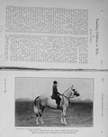 Original Old Antique Print 1914 Photograph Maud Preece Miss Mona Dunn Horse