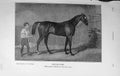 Original Old Antique Print 1915 Touchstone Horse Eaton Sport 20th Century