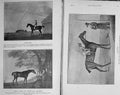 Old Antique Print 1915 Horses Gimcrack Shark Price Eleanor Trentham Lyon 20th