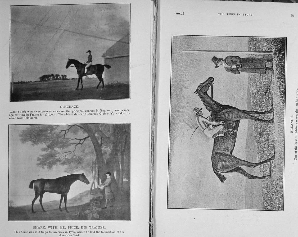 Old Antique Print 1915 Horses Gimcrack Shark Price Eleanor Trentham Lyon 20th