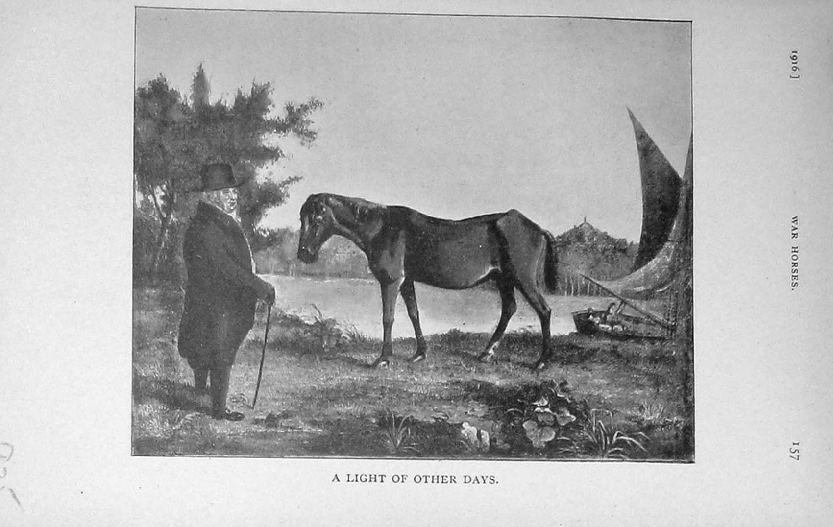 Original Old Antique Print 1916 Light Horse Man Trees Boat Country 20th Century