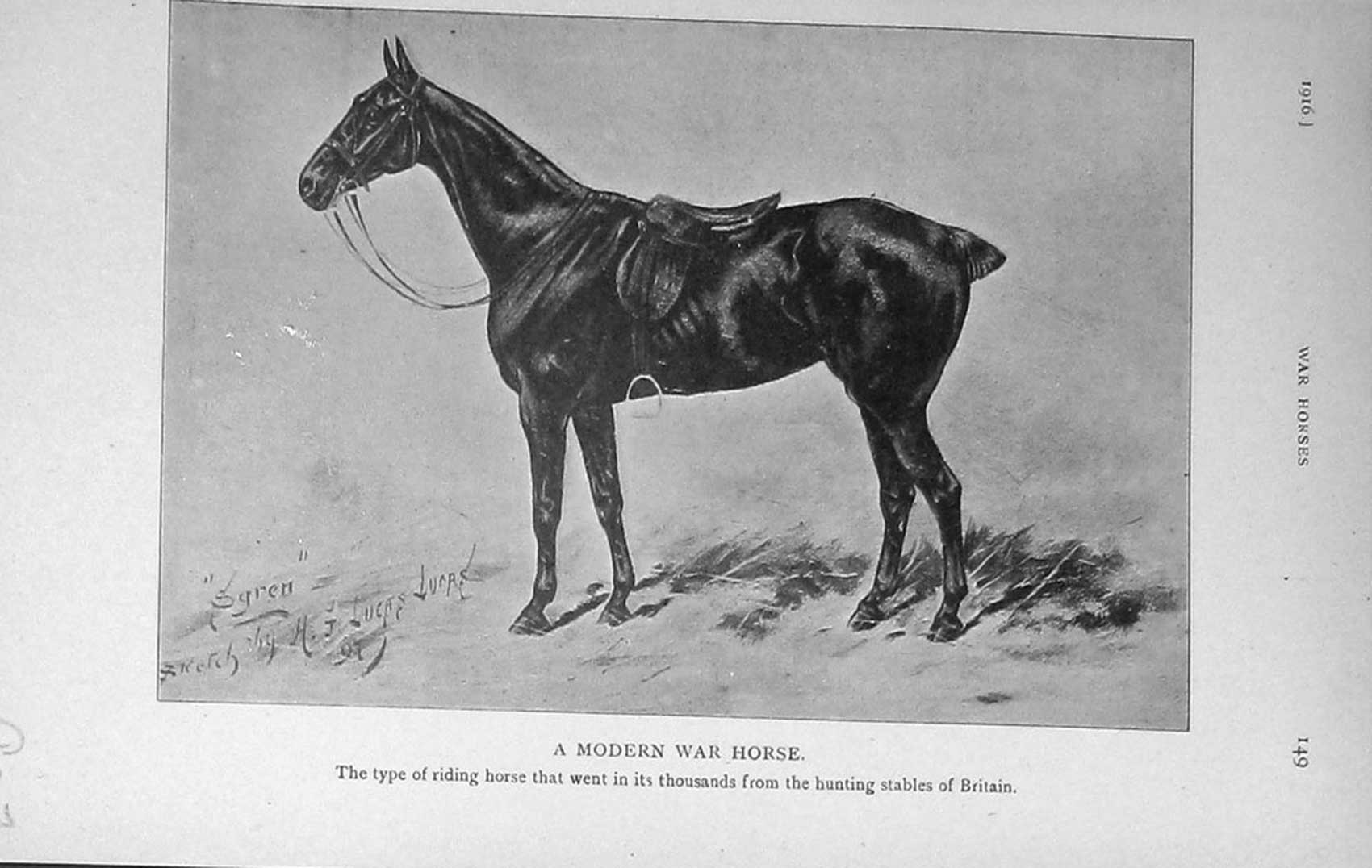 Original Old Antique Print 1916 Modern War Riding Horse Baily'S 20th Century