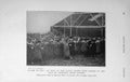 Original Old Antique Print 1916 Photograph Sale Pedigree Shire Horses 20th