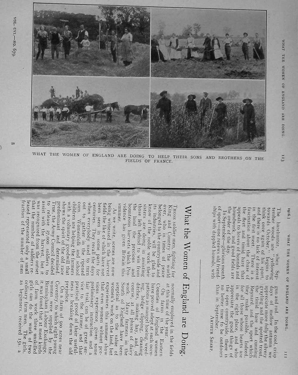 Original Old Antique Print 1916 Photograph Women England Fields France Farming