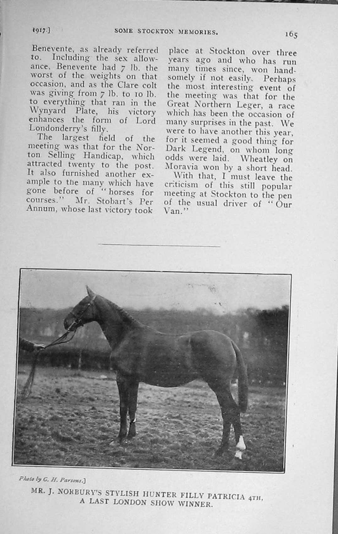Original Old Vintage Print 1917 Mr Norbury'S Hunter Filly Patricia Show Horse
