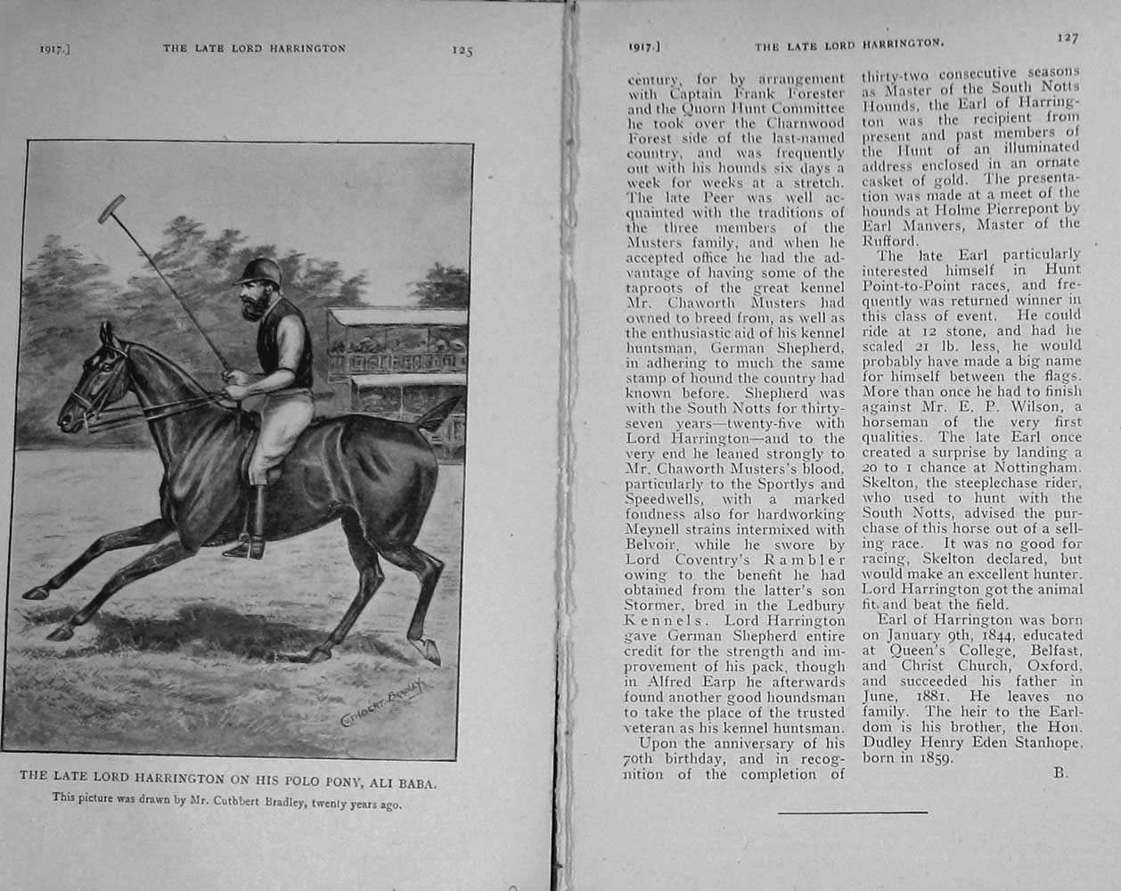 Original Old Vintage Print 1917 Lord Harrington Polo Pony Ali Baba Horse Sport