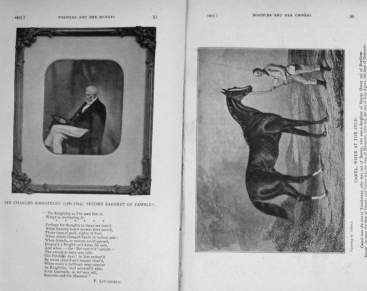 Original Old Vintage Print 1917 Portrait Charles Knightley Camel Stud Horse
