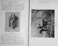 Original Old Vintage Print 1917 Portrait Nimrod Horse Hunting Somerville 20th