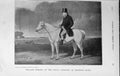 Old Vintage Print 1918 William Worley Horse Royal Paddocks Hampton Court 20th