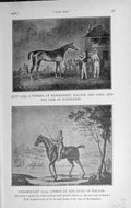 Original Old Vintage Print 1918 Horse Quiz Racing York Fearnought Duke Bolton