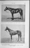 Old Vintage Print 1919 Grand Parade Lord Glanely Derby Horse Paper Money 20th
