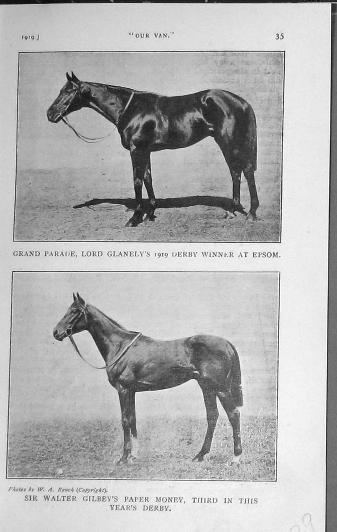Old Vintage Print 1919 Grand Parade Lord Glanely Derby Horse Paper Money 20th