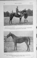Old Vintage Print 1920 Lieutenant-Colonel Ralston Margaret Horse Rackette 20th