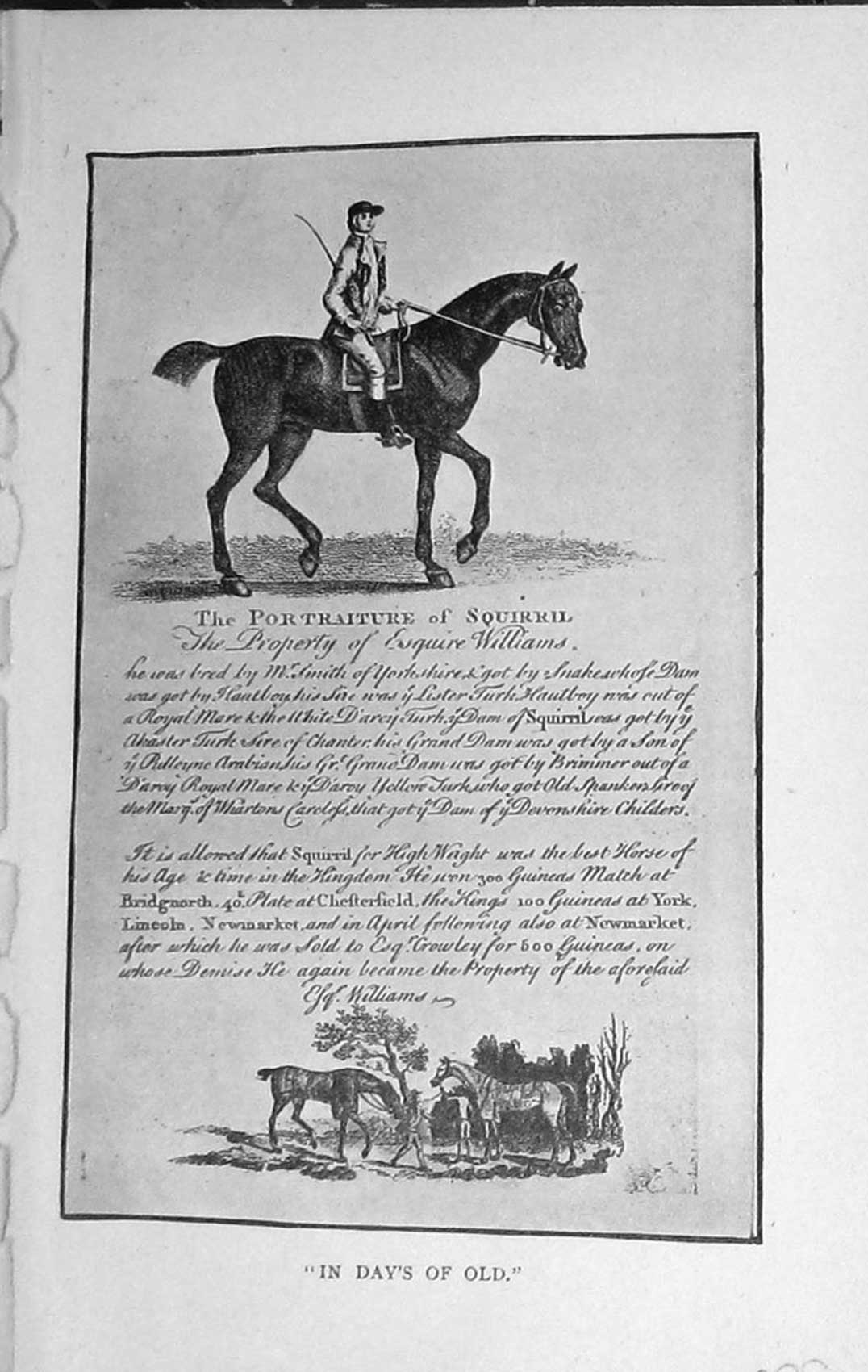 Original Old Vintage Print 1918 Portraiture Squirril Horse Poem 20th Century