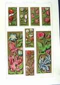 Antique Old Print *2502 1860 Art Illuminating Colour Plants Flowers Design