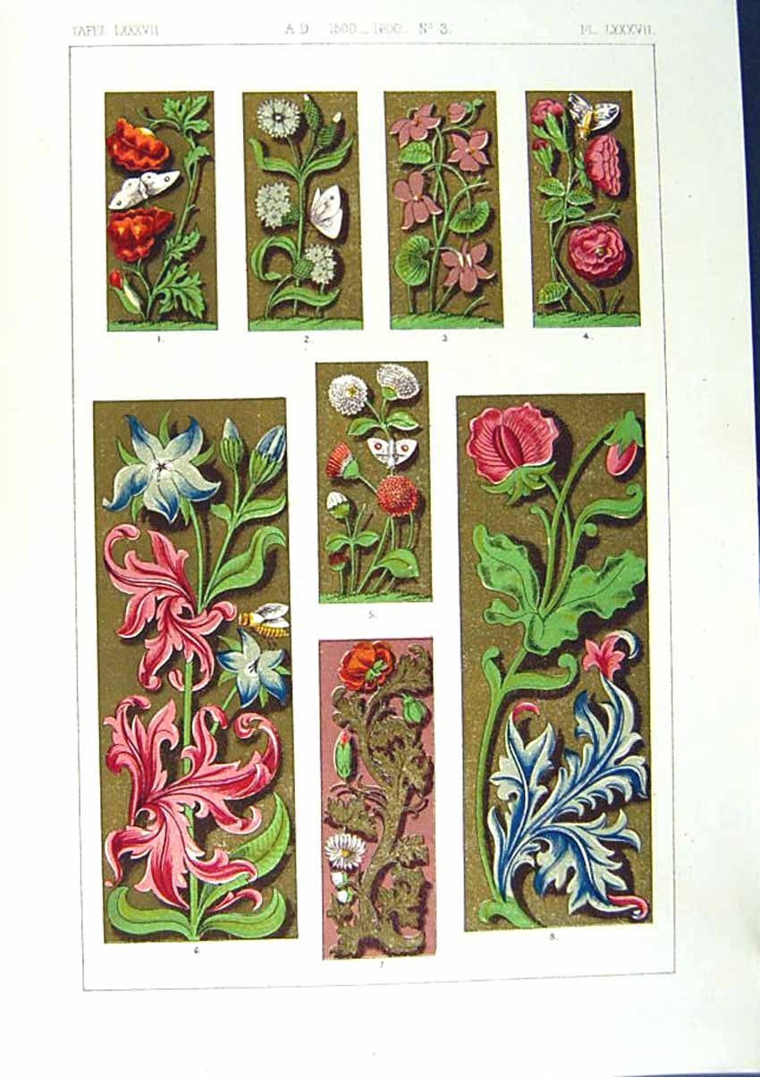 Antique Old Print *2502 1860 Art Illuminating Colour Plants Flowers Design