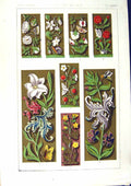Antique Old Print *2503 1860 Art Illuminating Colour Flowers Plants Design