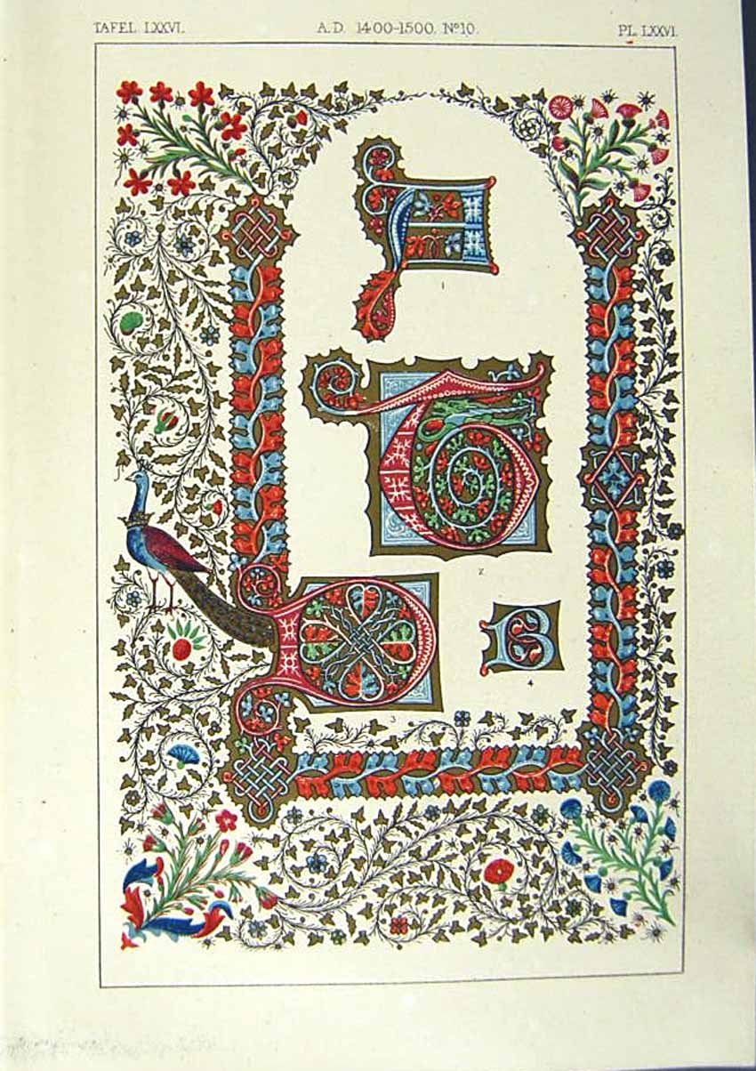 Antique Old Print *2506 1860 Art Illuminating Letters Colour Patterns Design