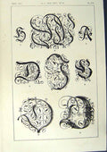 Antique Old Print Ref.806 1860 Art Illuminating Alphabet Letters Calligraphy