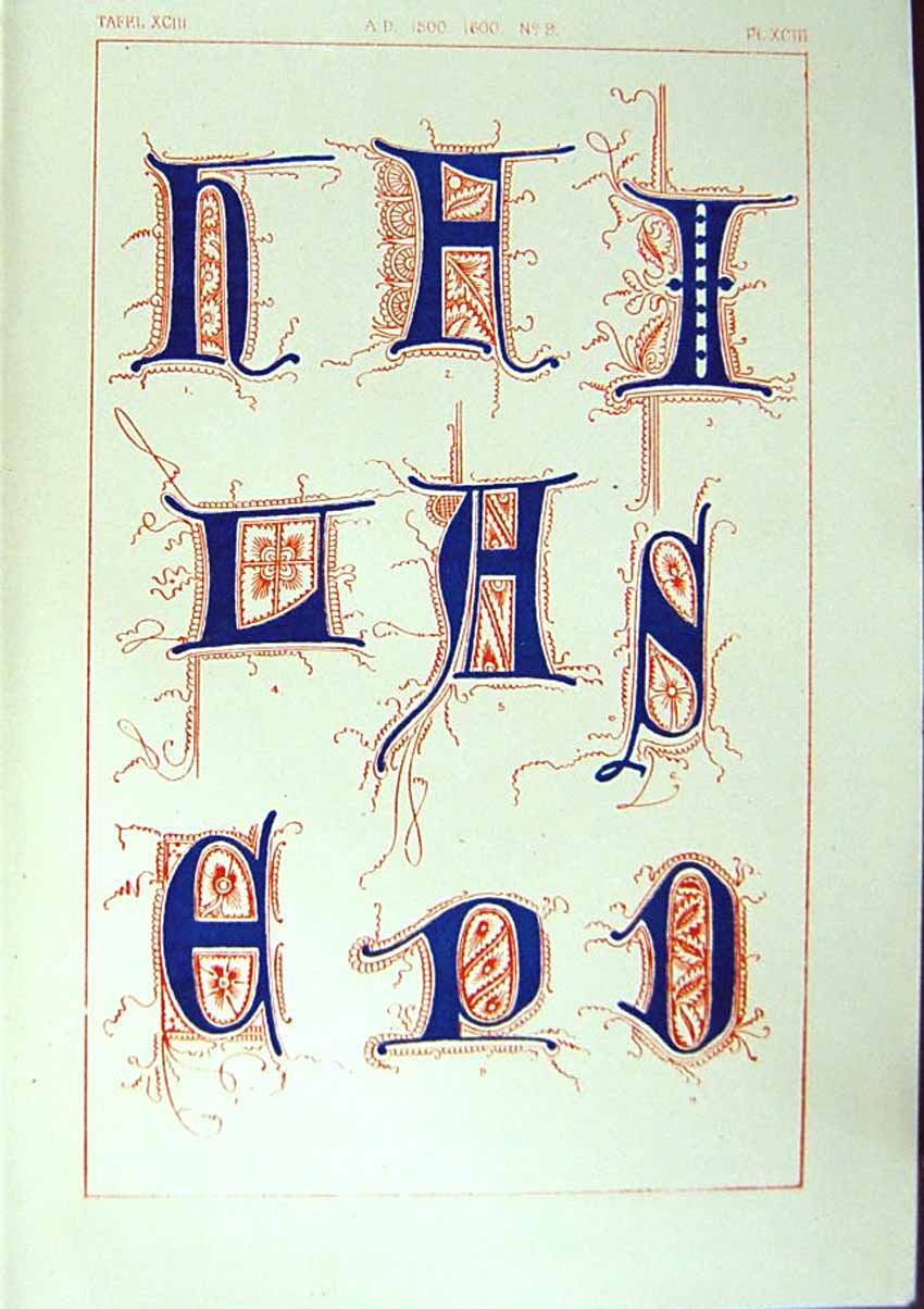 Antique Old Print *2531 1860 Art Illuminating Colour Plants Flowers Insects
