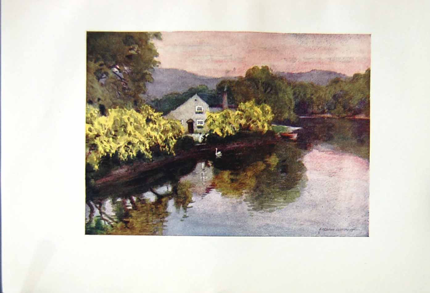 Antique Old Print *2537 1908 English Lakes Laburnums Newby Bridge Windermere