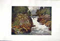 Old Antique Print *2543 1908 English Lakes Skelwith Force Langdale Cooper