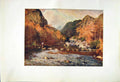 Antique Old Print *2556 1908 English Lakes Stepping Stones Seathwaite Cooper