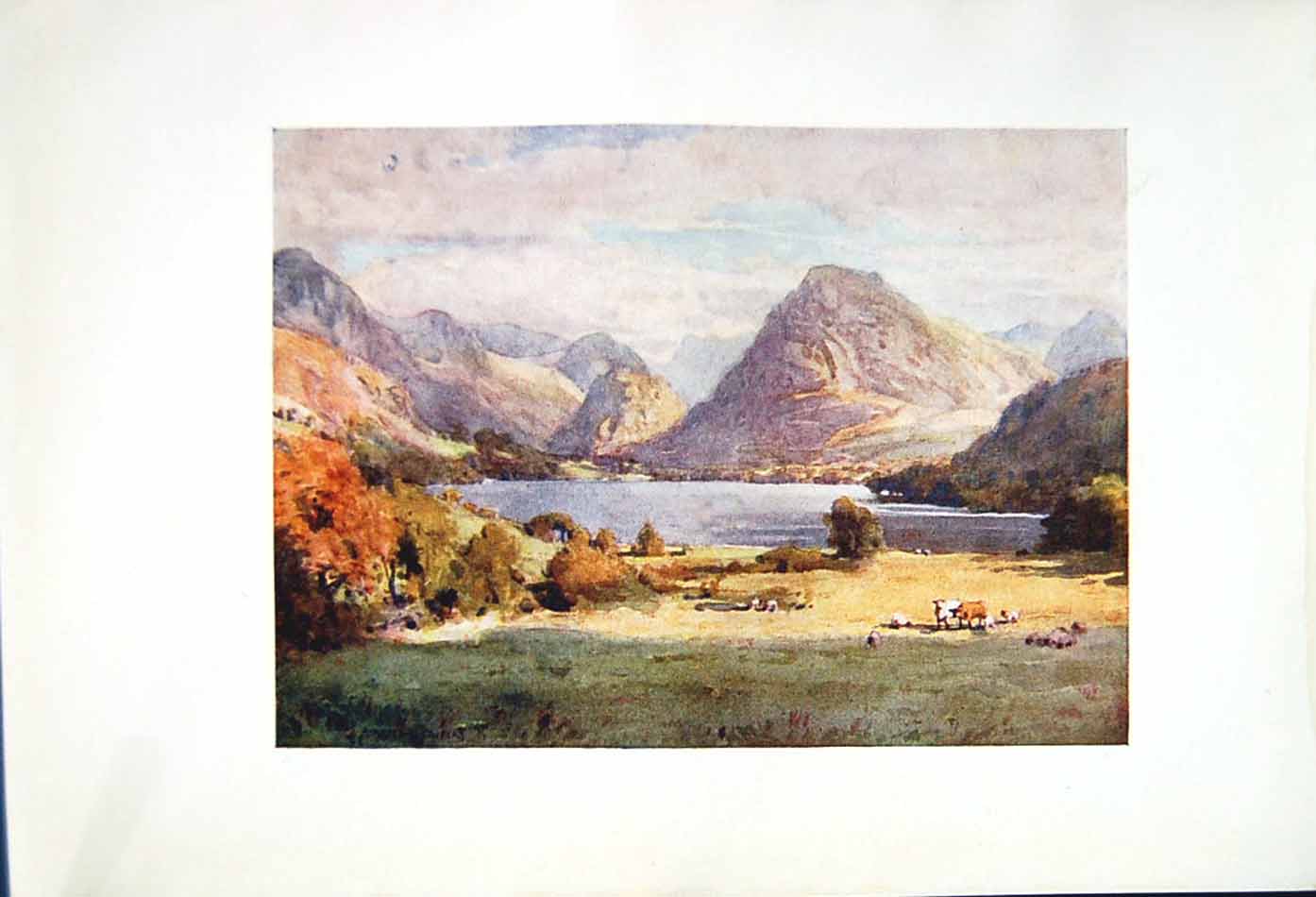 Original Old Antique Print *2568 1908 English Lakes Loweswater Mountains Cooper