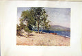 Original Old Antique Print *2582 1908 English Lakes Bassenthwaite Cooper Palmer
