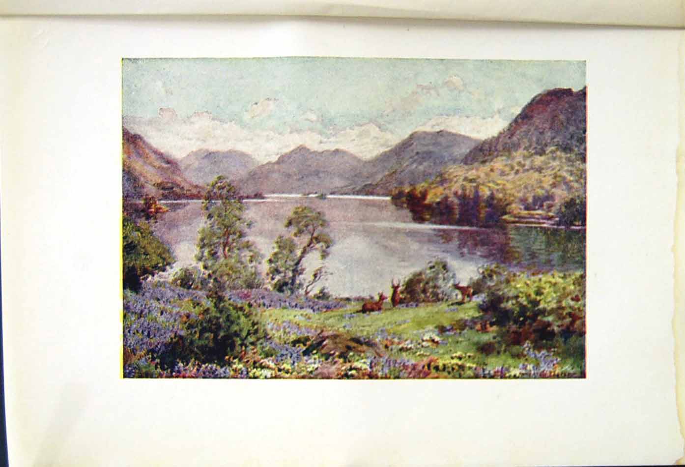 Antique Old Print *2585 1908 English Lakes Ullswater Gowbarrow Park Cooper