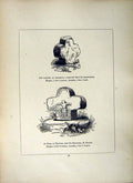 Antique Old Print *2601 1856 Cross Garden Trereife Chyowne Buryan Cornwall