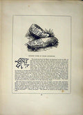 Antique Old Print *2605 1856 Cornwall Inscribed Stones St. Hilary Churchyard