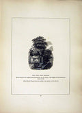 Original Old Antique Print *2611 1856 Cross Cornwall Holy Well Helstone Blight