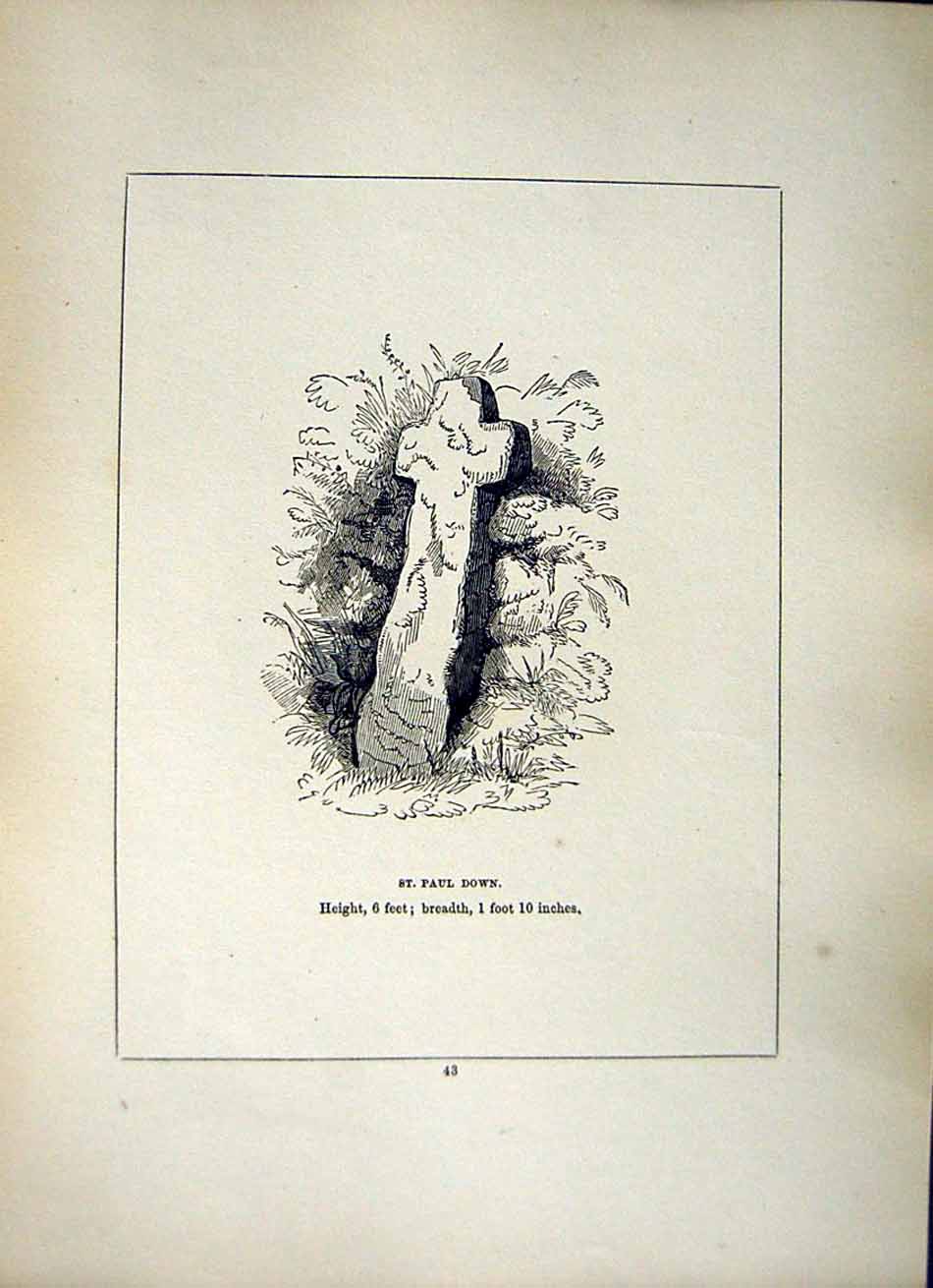 Original Old Antique Print *2624 1856 Cross Cornwall St. Paul Down Blight