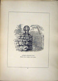 Antique Old Print *2642 1856 Cross Sancreed Churchyard Wall Cornwall Blight