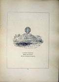 Old Antique Print *2644 1856 St. Buryan Churchyard Cross Cornwall Blight