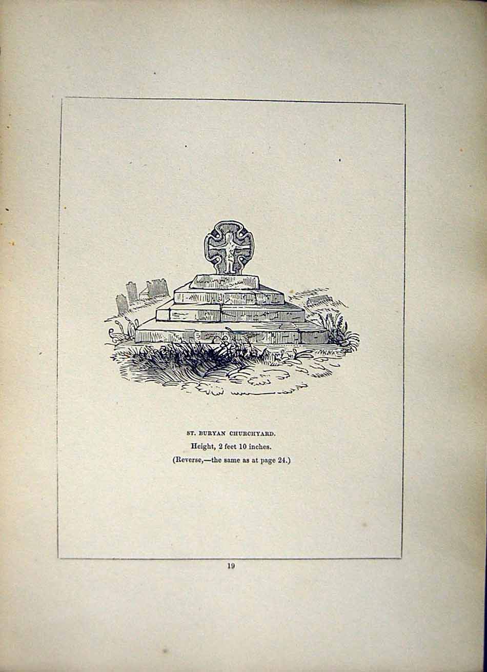 Old Antique Print *2644 1856 St. Buryan Churchyard Cross Cornwall Blight