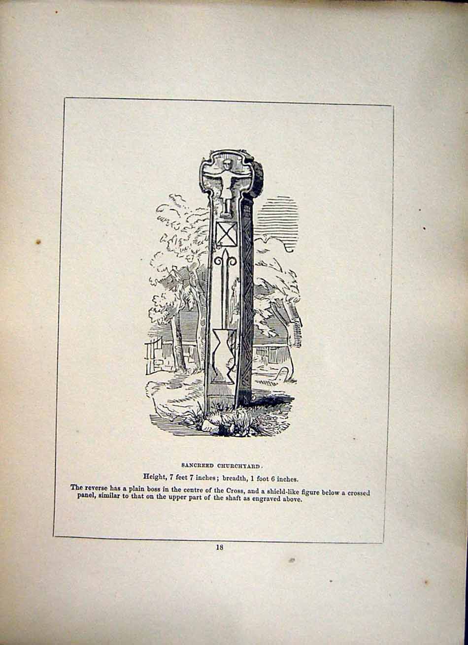 Original Old Antique Print *2645 1856 Sancreed Churchyard Cross Cornwall Blight