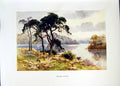 Antique Old Print *2666 C1912 England Virginia Water Trees Landscape Colour