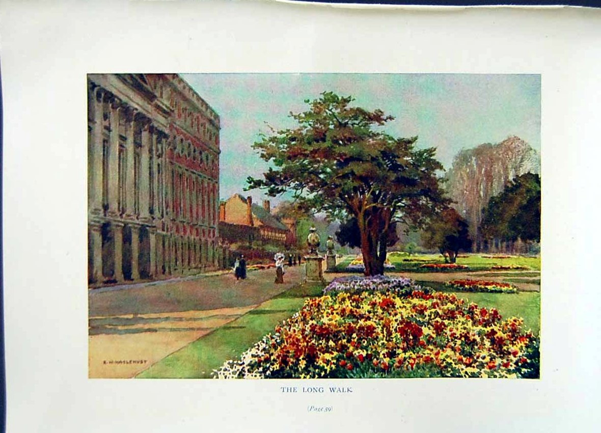 Antique Old Print *2677 C1912 England Long Walk Garden Flowers Trees Colour