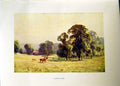 Antique Old Print *2682 C1912 View Cobham Park England Landscape Trees Deer