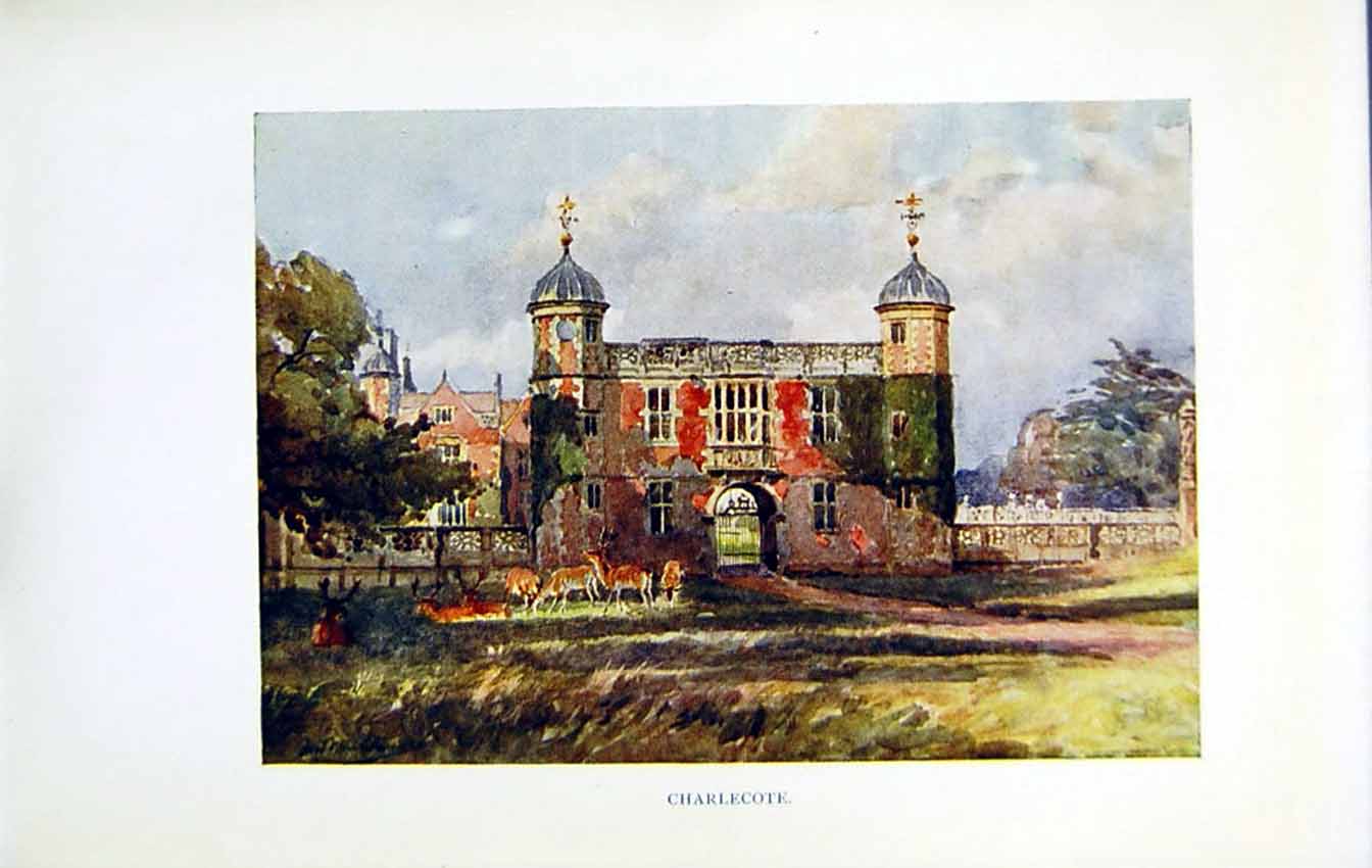 Antique Old Print *2691 C1922 Warwickshire View Charlecote House Garden Deer