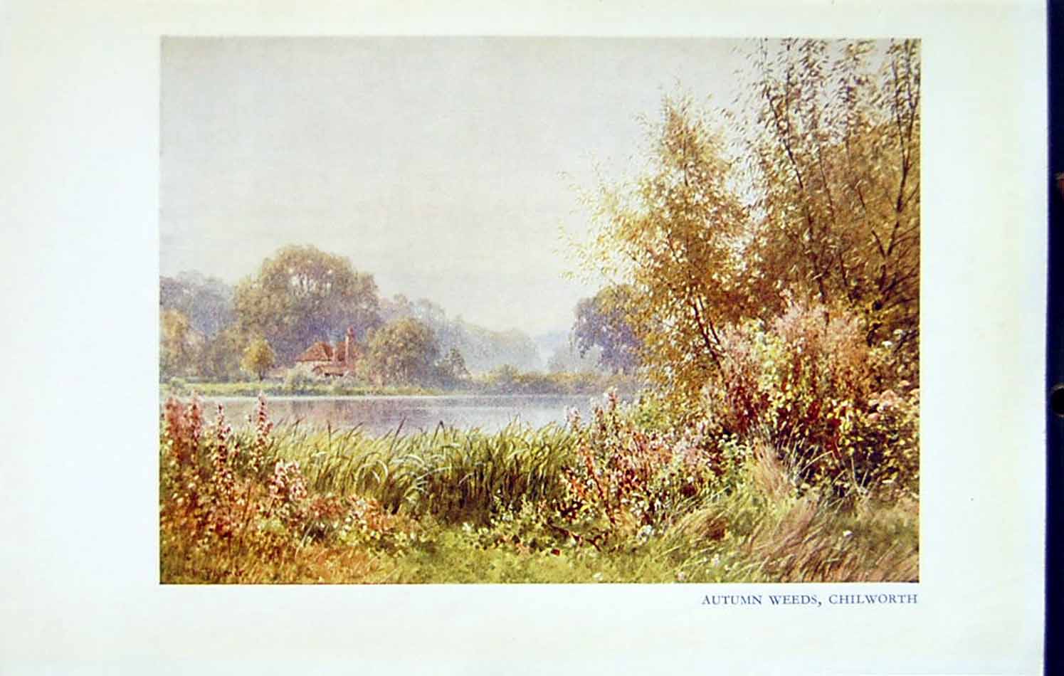 Original Old Vintage Print View Autumn Weeds Chiltworth England C1934 Colour
